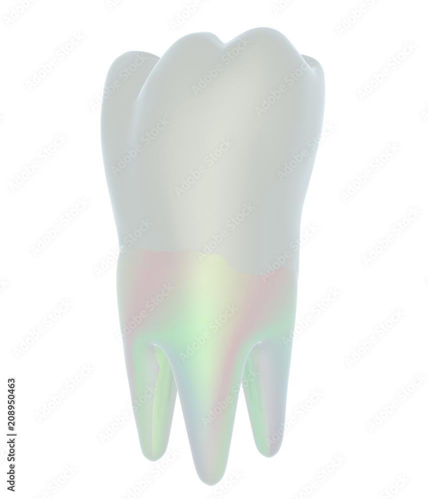 Tooth. 3d illustration Tooth. 3d illustration