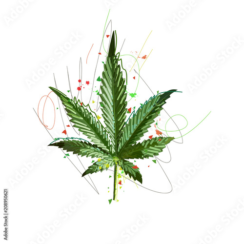Marijuana or cannabis vector leaf
