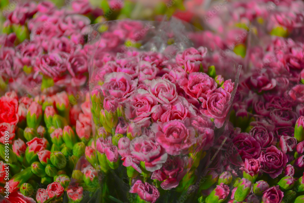 Blurred images of bouquets of flowers are beautiful pink roses. Blurred images of bouquets of flowers are beautiful pink roses.