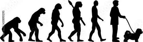Maltipoo evolution