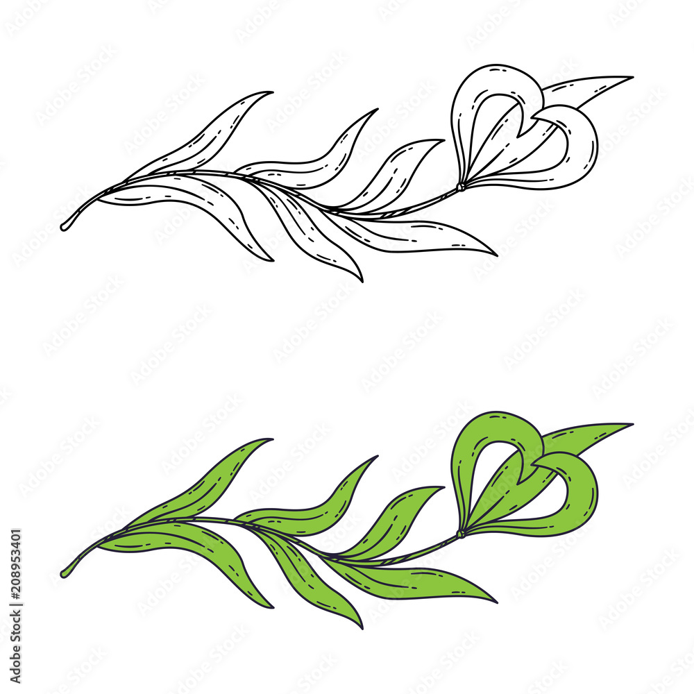 Fototapeta premium Floral element for the logo.