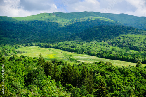 Marvelous landscape with forest, Armenia