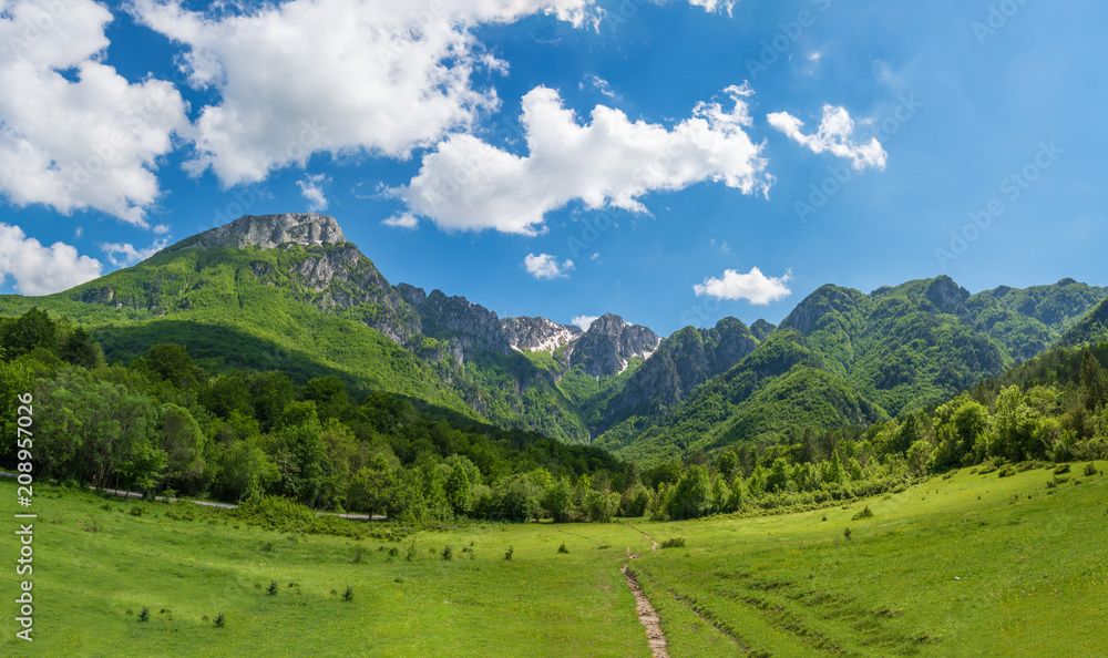 Fototapeta premium National Park of Abruzzo, Lazio and Molise (Italy) - The spring in the italian mountain natural reserve, with landscapes, wild animals, little old towns, the Barrea Lake and Camosciara park