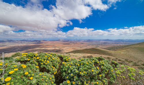 Fuerteventura, Ausblick vom Mirador Morro Velosa,  photo