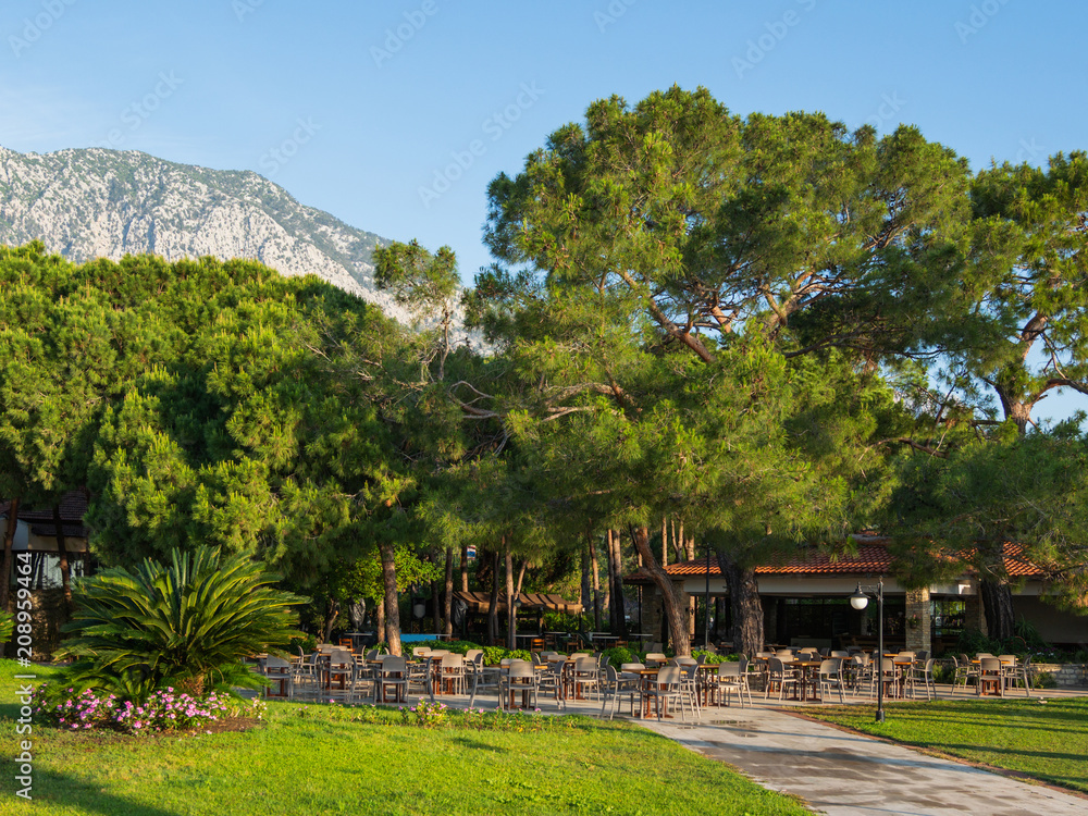 Early morning in hotel, typical for south-east part of Turkey. Tables and chairs in the open air under large pine trees. Kemer, Turkey.