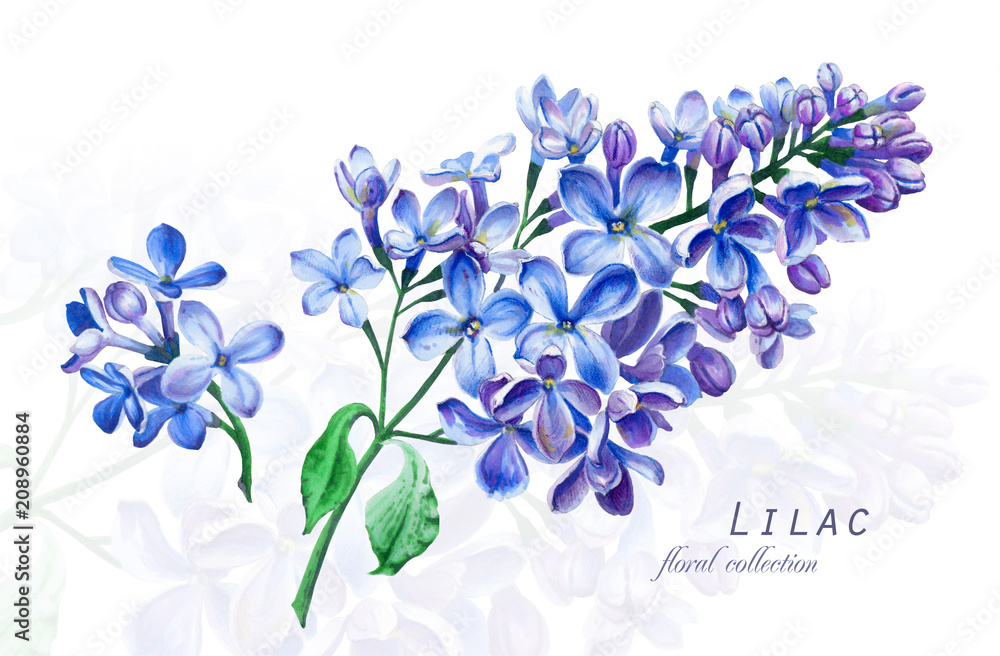 Hand Drawing A Purple Flower Sketch In A Sketchbook With Alcohol Based  Sketch Drawing Markers Stock Photo - Download Image Now - iStock