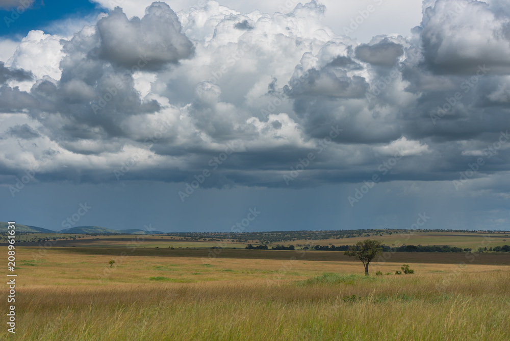 Maasai Mara landscape