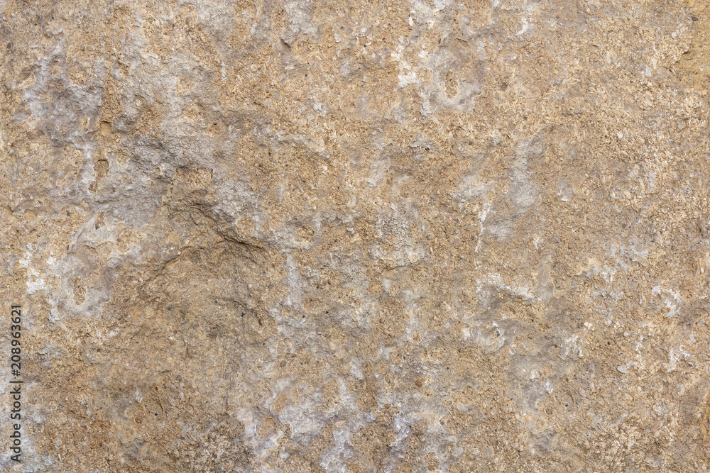 Obraz premium Texture is a light brown stone with white veins. Inclusions of grains of sand and minerals. Rock texture