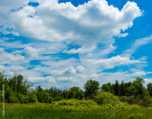Summer clouds over a green field