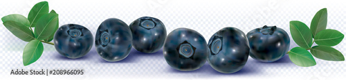 Blueberries in a line
