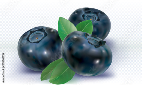 Three Blueberries