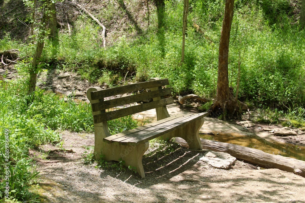 The empty park bench near the creek in the forest.