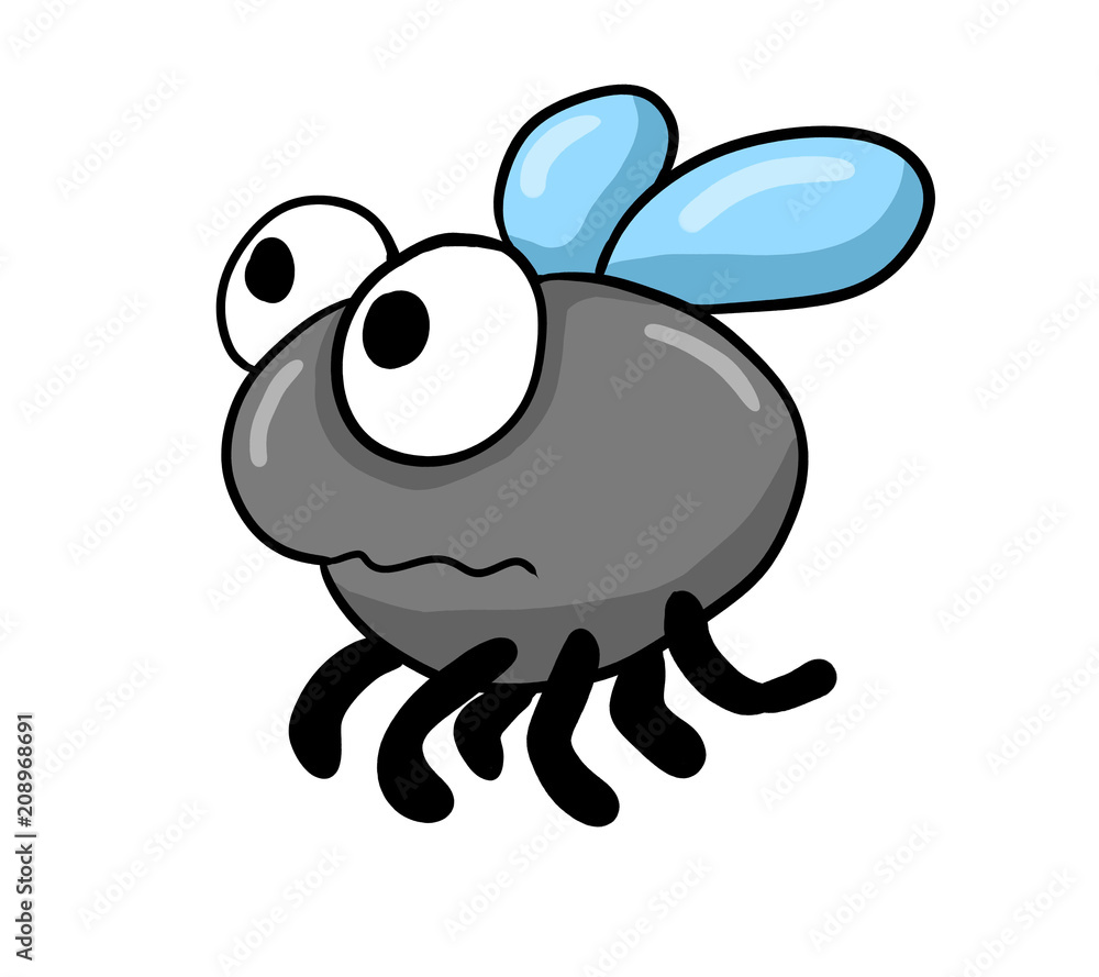 Confused Fly Confused Fly