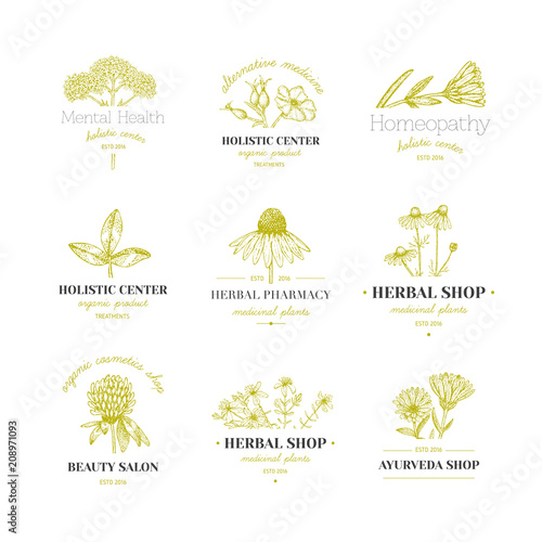 Herbal logos.