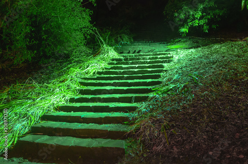 Steps in a dark forest  illuminated in spooky green light