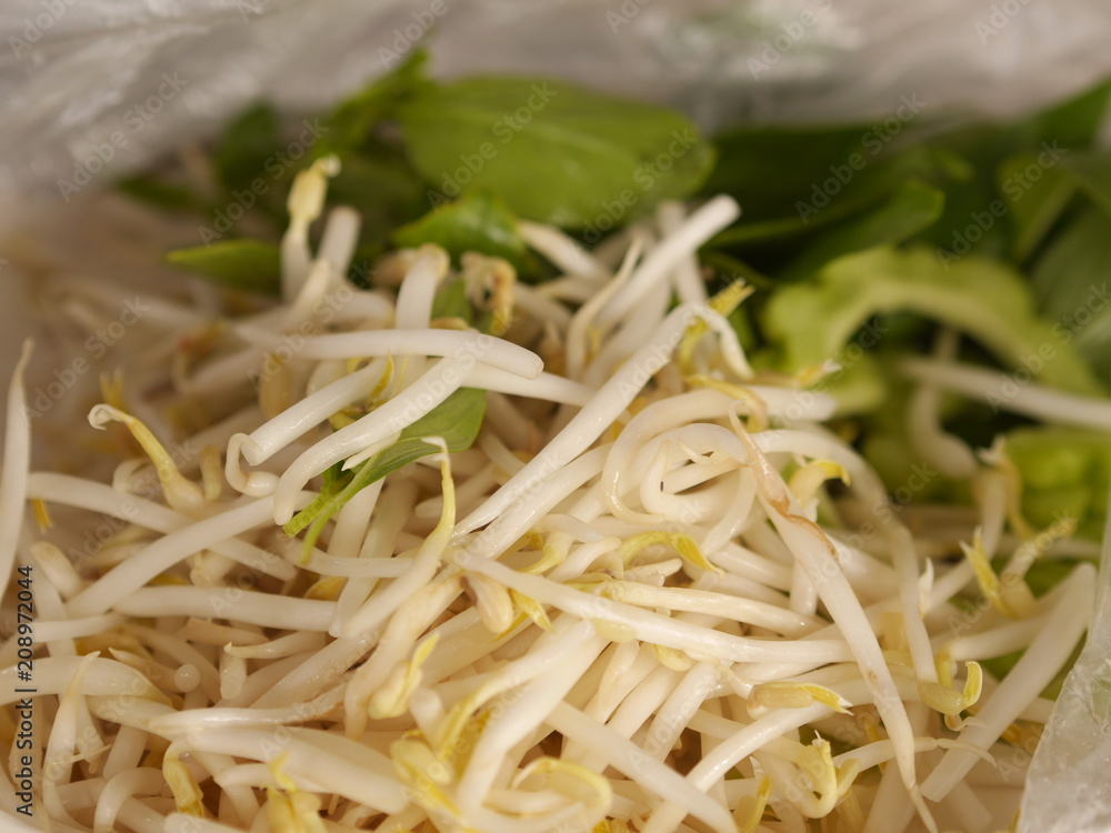 Sprouts White Fresh Combination Wash with water Vegetable side Sprouts White Fresh Combination Wash with water Vegetable side
