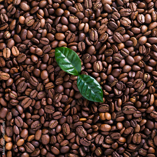 Fototapeta Naklejka Na Ścianę i Meble -  Coffee beans background