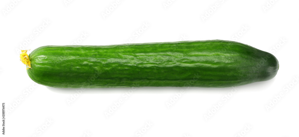 cucumber isolated on white background. top view cucumber isolated on white background. top view