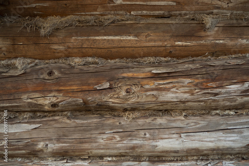 Wooden wall from logs of pine as a background texture.