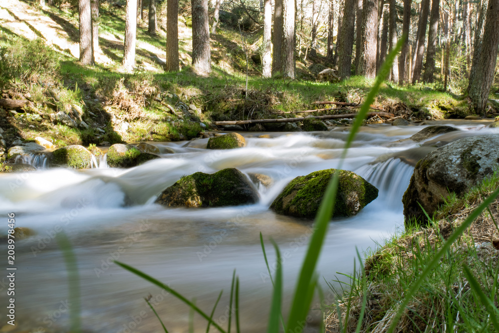 The water of the river moves without stopping through the leafy forests. Photograph taken in the Natural Park natural of Guadarrama in Segovia (Spain) The water of the river moves without stopping through the leafy forests. Photograph taken in the Natural Park natural of Guadarrama in Segovia (Spain)