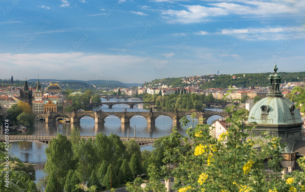 Obraz premium Vltava river with great bridges in Prague