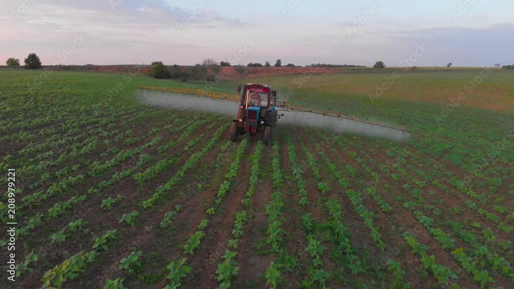 Aerial view of a tractor that irrigates the field with a young, fresh potato at sunset. The process of spraying field growths from insects and loaders. Aerial view of a tractor that irrigates the field with a young, fresh potato at sunset. The process of spraying field growths from insects and loaders.