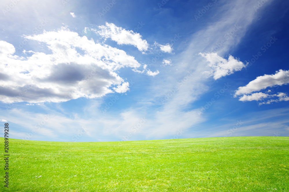 Obraz premium Meadow and beautiful sky during sunlight