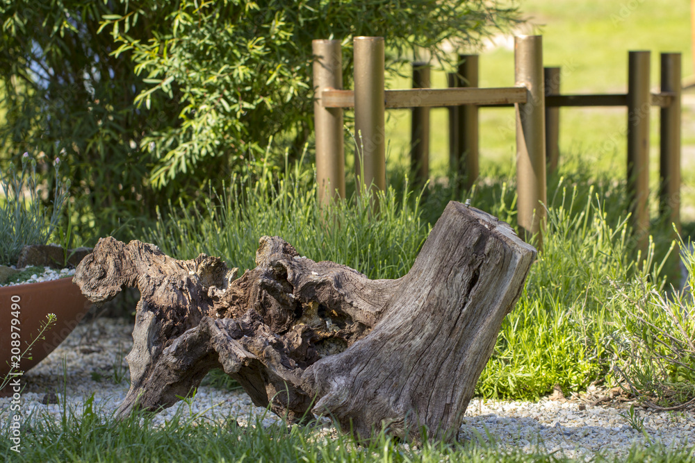 Dry dead snag on garden background. Dry dead snag on garden background.