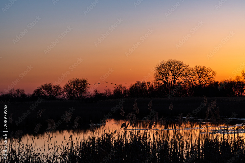 Lake side sunset bokeh with silhouette of nature
