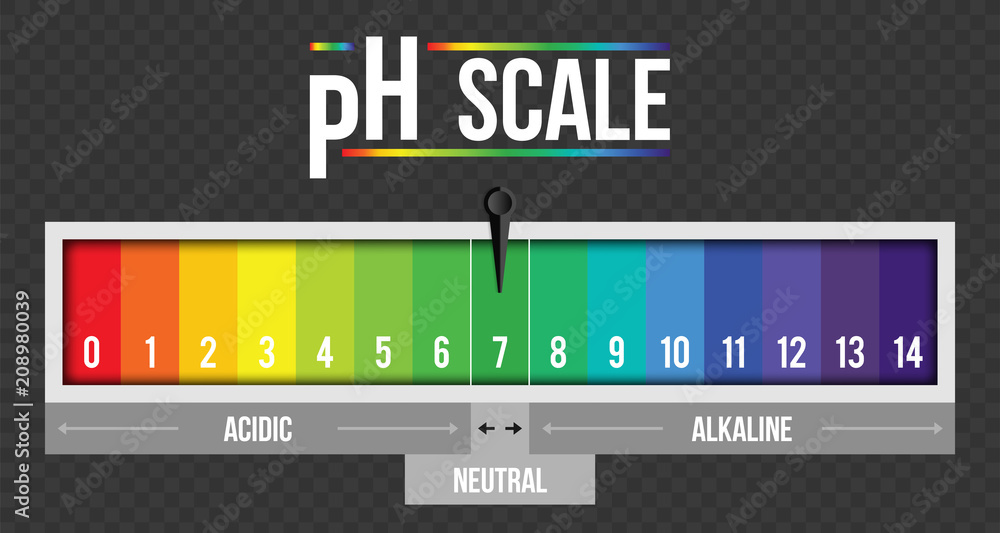 Creative vector illustration of pH scale value isolated on background. Chemical art design infographic. Abstract concept graphic litmus paper element Creative vector illustration of pH scale value isolated on background. Chemical art design infographic. Abstract concept graphic litmus paper element