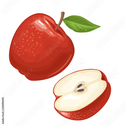 Apple whole and half with leaf. Color flat illustration
