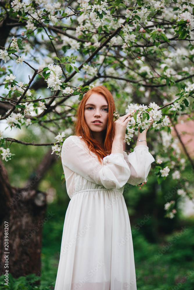 Beautiful red-haired girl in a white dress among blossoming apple-trees in the garden.