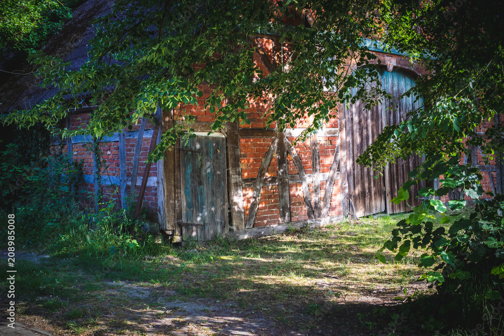 Old barn overgrown and in the shadow Old barn overgrown and in the shadow