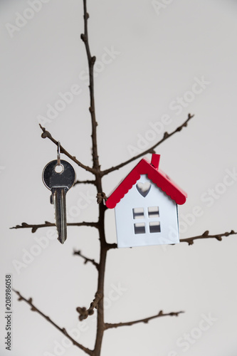 real estate and mortgage investment. Being an easy way homeowner. there is a house hanging in the tree.