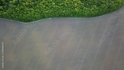 Aerial view from the drone, a bird's eye view to the forest with green spaces and agricultural field at sunset in the summer evening,