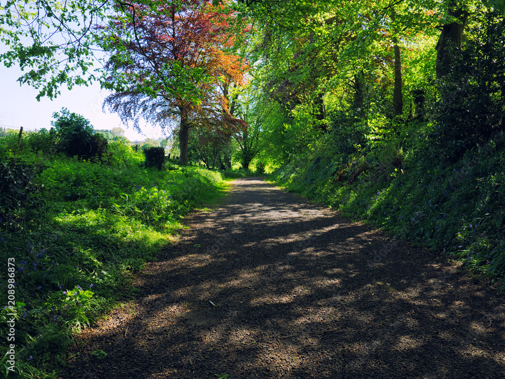 Obraz premium Sunny spring countryside,Northern Ireland
