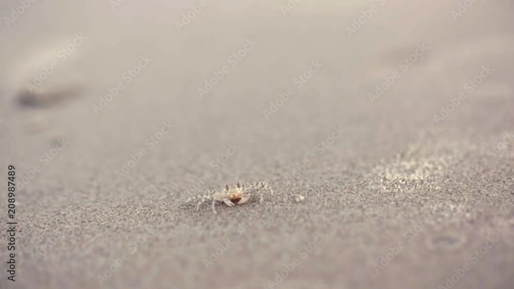 Sea water surface, sea water texture, nature, sea crab, resort, sea vacation full hd video background. Sea, seascape, ocean, nature background. Idyllic seascape: clean water, waves, blue sky, horizon. Sea water surface, sea water texture, nature, sea crab, resort, sea vacation full hd video background. Sea, seascape, ocean, nature background. Idyllic seascape: clean water, waves, blue sky, horizon.