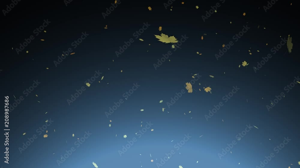 Slow motion Fall season flying leaves over dark blue sky background. Slow motion Fall season flying leaves over dark blue sky background.