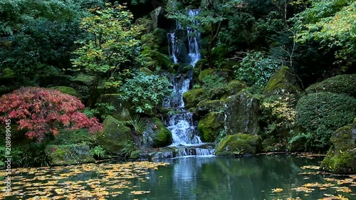 Beautiful Autumn view of Waterfall in Japanese Garden in Portland Oregon USA