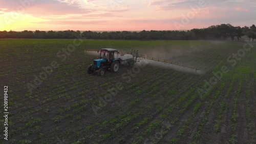 Aerial view of a tractor that irrigates the field with a young, fresh potato at sunset. The process of spraying field growths from insects and loaders.