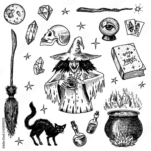 Halloween elements. Magic ball, witch with book of spells, cursed black cat, beldam and sorcery, hag or hex, potion and cauldron, skull and fortune-telling cards. Hand drawn engraved vintage sketch.