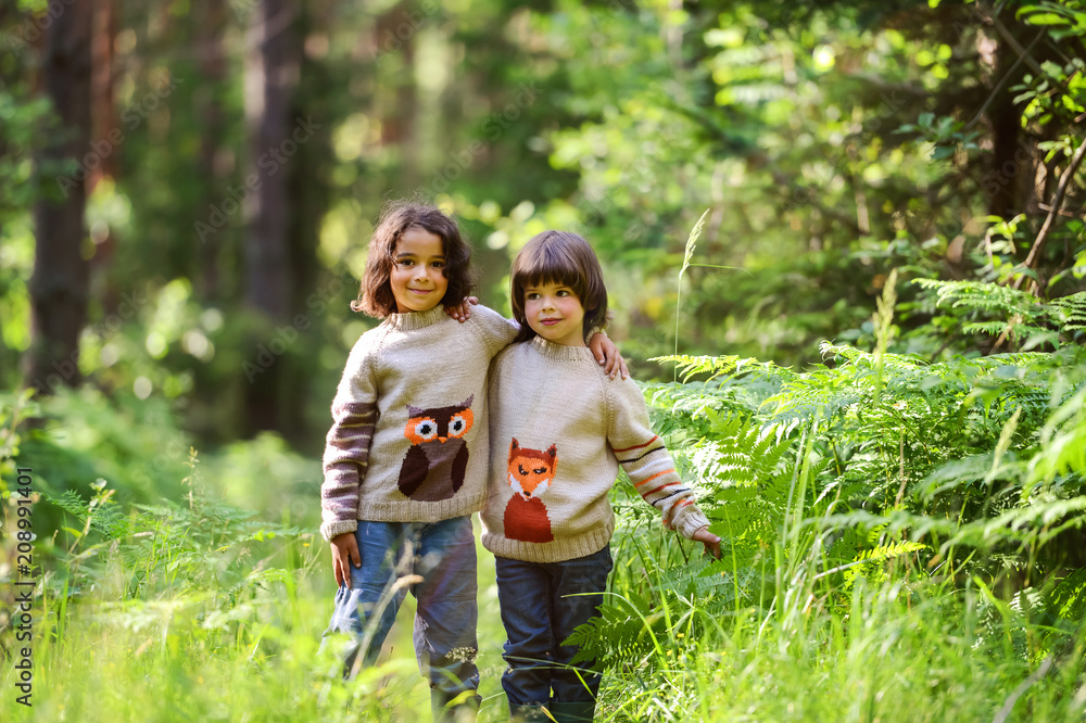 Fototapeta premium Two boys are hugging in the woods. In sweaters with a Fox and an owl in the summer on a Sunny day