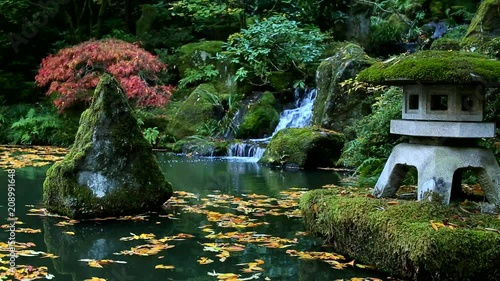 Outstanding Autumn View of Colorful Trees and Leaves in Beautiful Japanese Garden in Portland Oregon USA, waterfall
