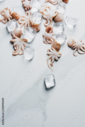 top view of small octopuses with ice cubes on marble surface