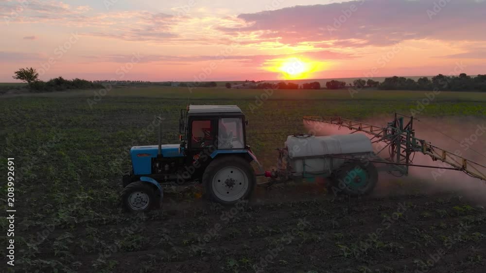 Aerial view of a tractor that irrigates the field with a young, fresh potato at sunset. The process of spraying field growths from insects and loaders. Aerial view of a tractor that irrigates the field with a young, fresh potato at sunset. The process of spraying field growths from insects and loaders.