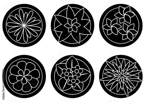 Houseplants in pots top view, indoor flowers. Vector illustration