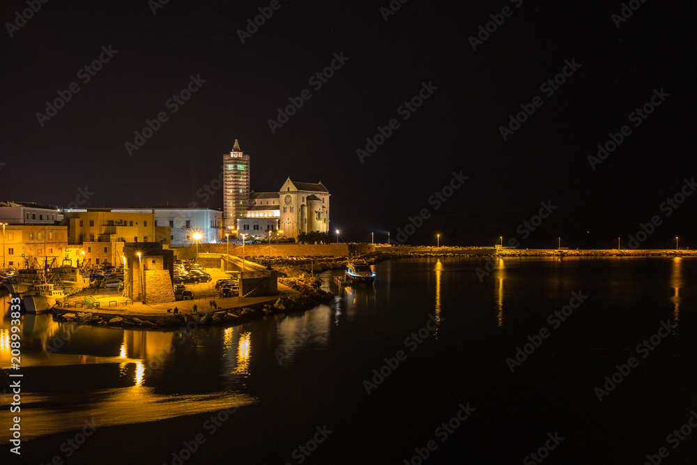 Night cityscape with Trani Cathedral, Apulia, Italy