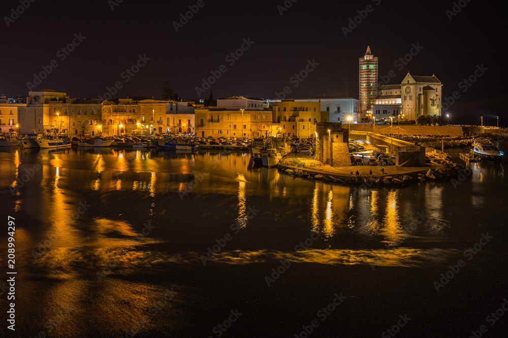 Night cityscape with Trani Cathedral, Apulia, Italy