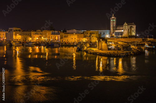 Night cityscape with Trani Cathedral  Apulia  Italy
