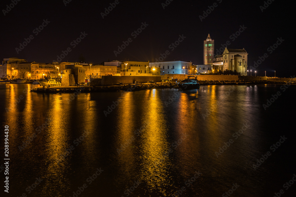 Scenic view of Trani Cathedral and port at night, Apulia, Italy